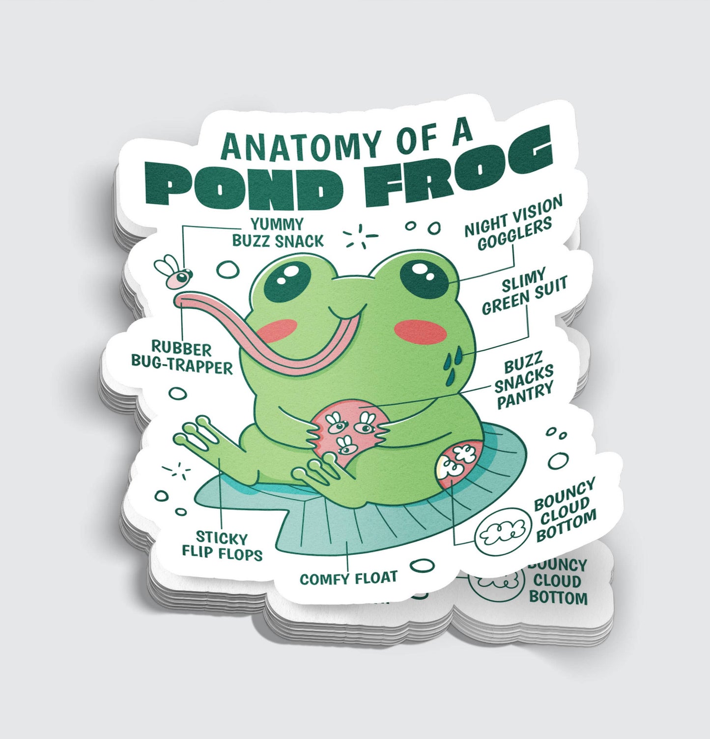 Anatomy of a Frog Chibi Sticker - 3"