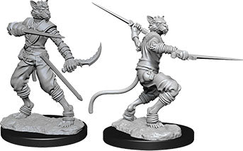 Male Tabaxi Rogue Dungeons & Dragons: Nolzur's Marvelous Unpainted Miniatures