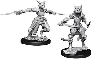 Female Tabaxi Rogue - Dungeons & Dragons Nolzur`s Marvelous Unpainted Miniatures
