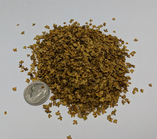 Scenic Leaves Autumn Yellow