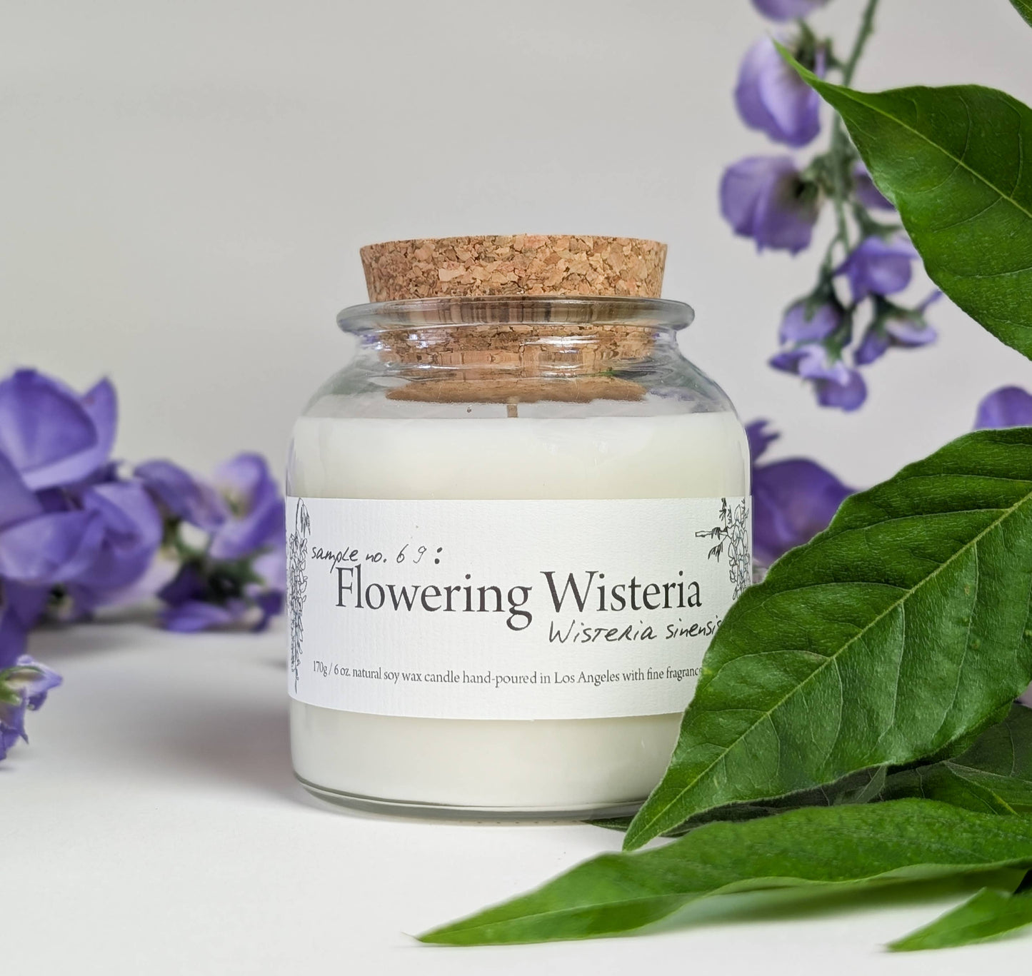 Botany ~ Flowering Wisteria 6oz Candle