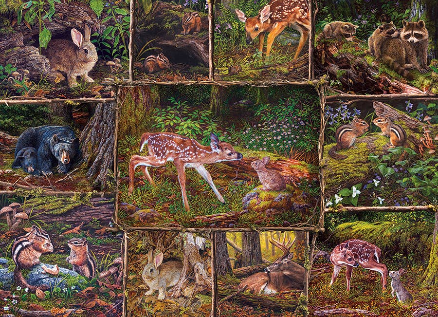 Into the Woods (Family) 350pc puzzle