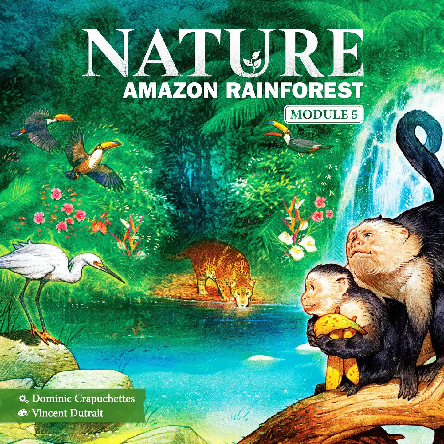 Nature: Amazon Rainforest Module 5