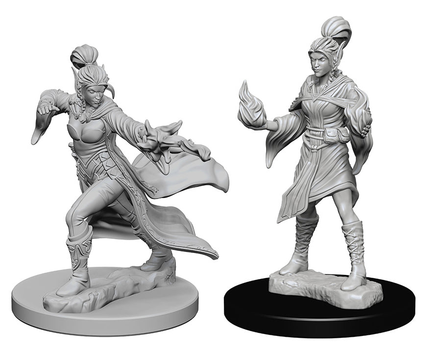 PDCUM: Elf Female Sorcerer (WZK