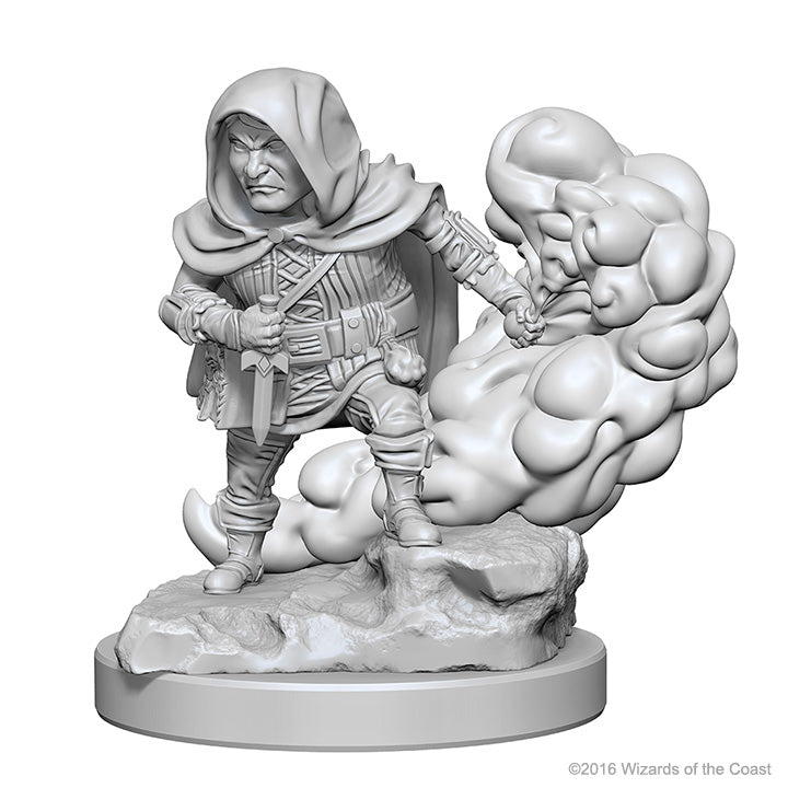 DDNMUM: Halfling Male Rogue