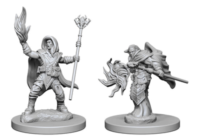 Elf Wizard - Dungeons & Dragons: Nolzur's Marvelous Unpainted Miniatures