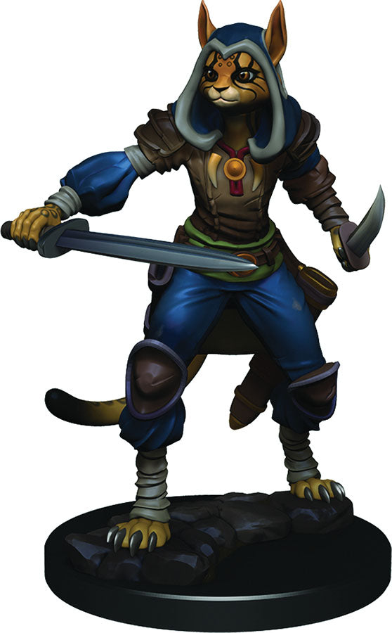 IotR: Female Tabaxi Rogue