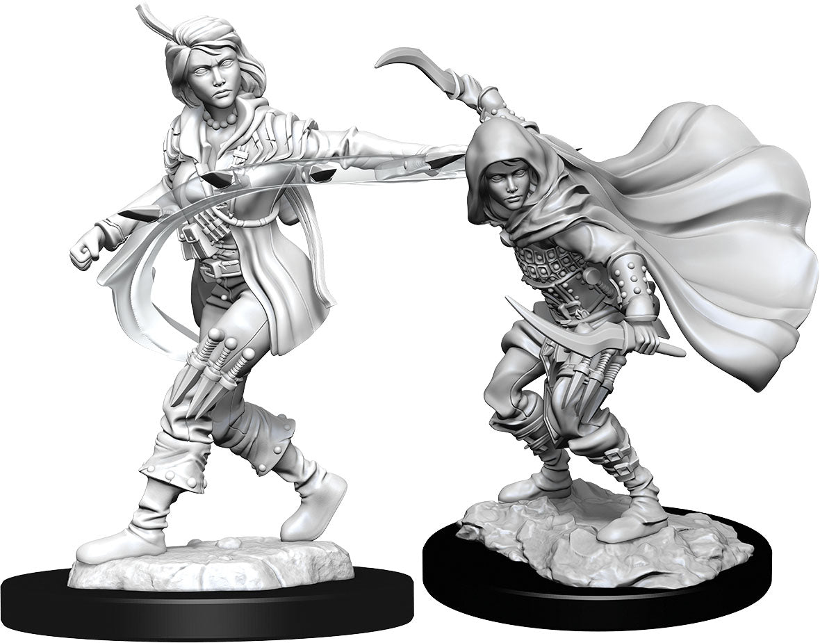 PDC: Human Rogue Female