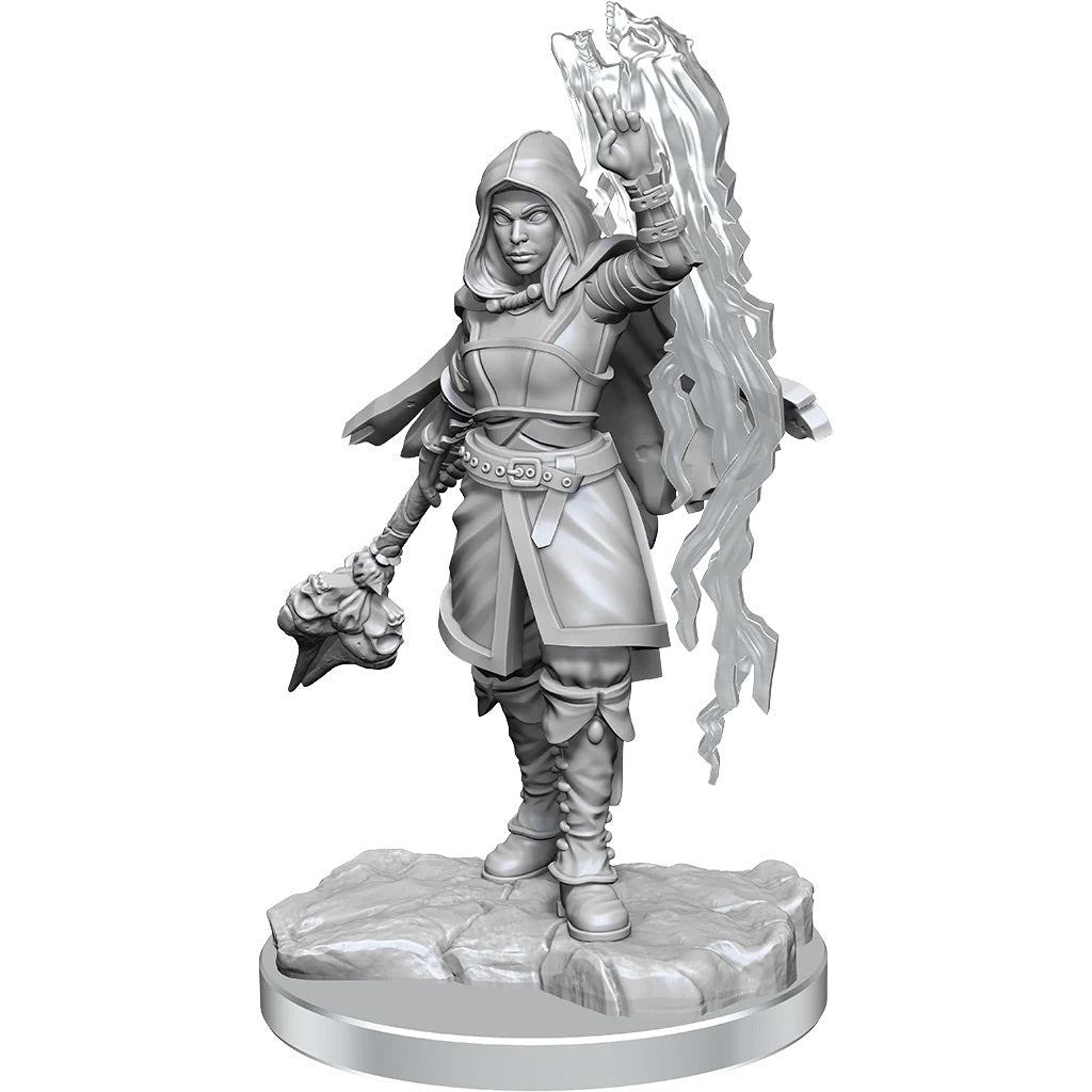 Half-Elf Warlock - Dungeons & Dragons: Nolzur's Marvelous Unpainted Miniatures