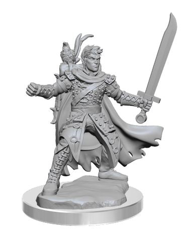 DDFW Male Half-Elf Ranger