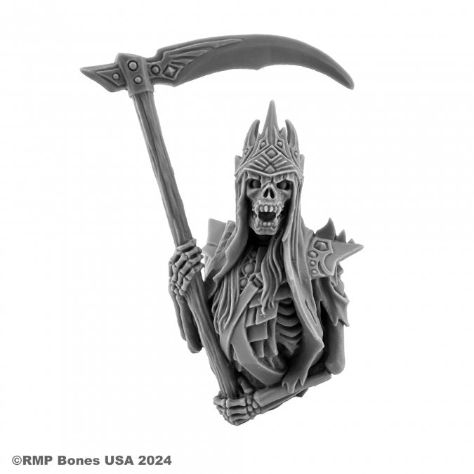 ReaperCon 2024 Hall of Fame Bust: Null the Reaper