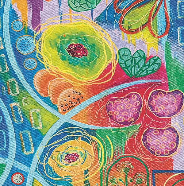 NEW! Nature Spirals; 1000-pc Velvet-Touch Jigsaw Puzzle