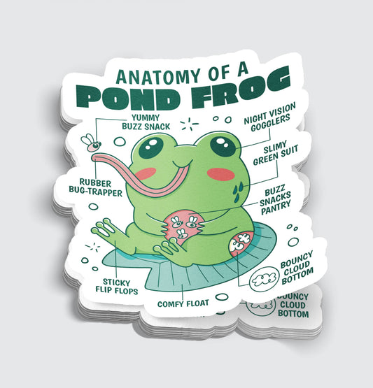 Anatomy of a Frog Chibi Sticker - 3"
