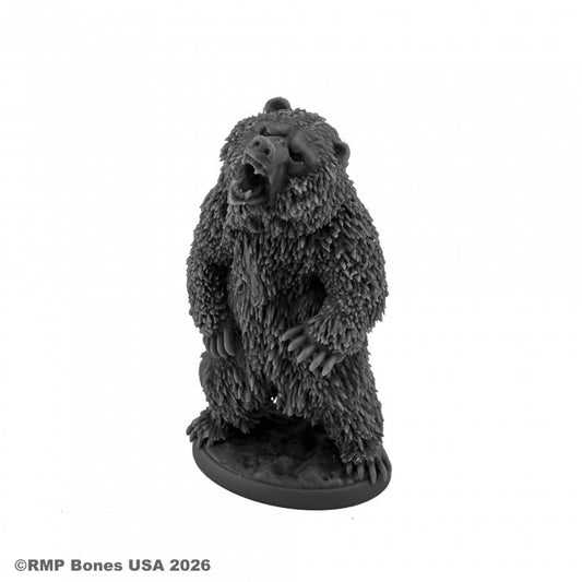 Grizzly Bear