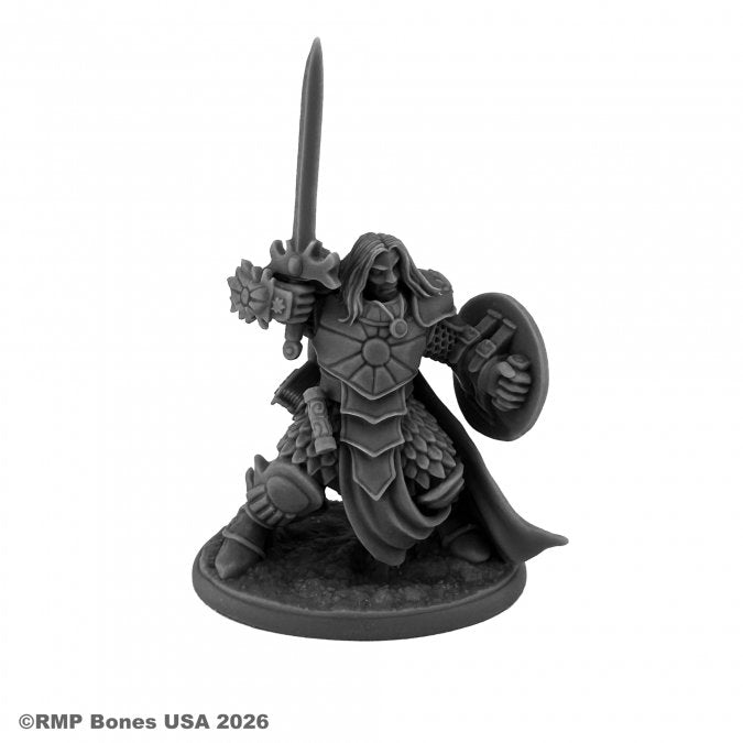 Ansel, Paladin