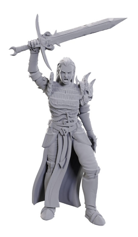 Blackguard - Dungeons & Dragons: Nolzur's Marvelous Unpainted Miniatures