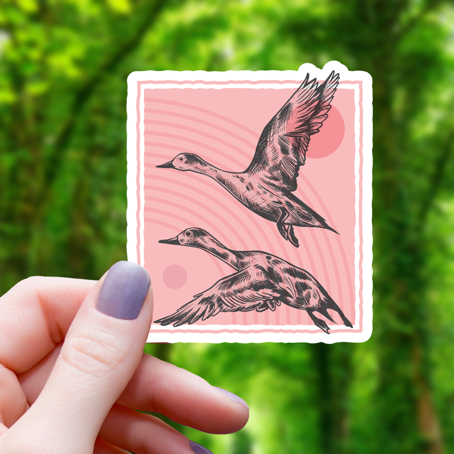 Duck Stamp Sticker-3"