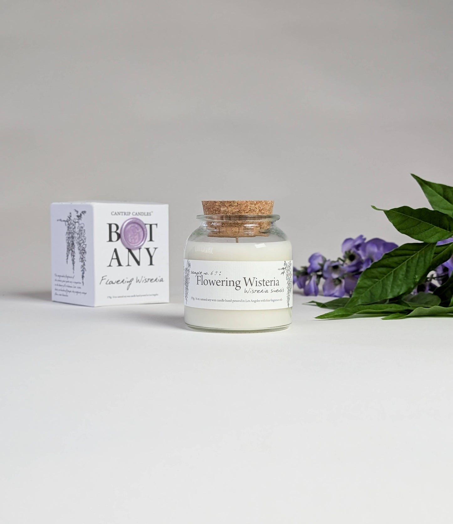 Botany ~ Flowering Wisteria 6oz Candle