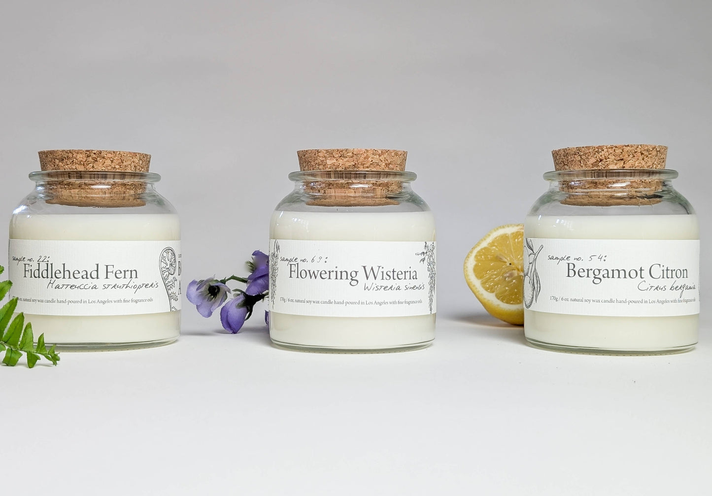 Botany ~ Flowering Wisteria 6oz Candle