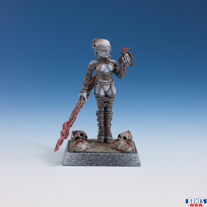 Dark Elf Sorceress