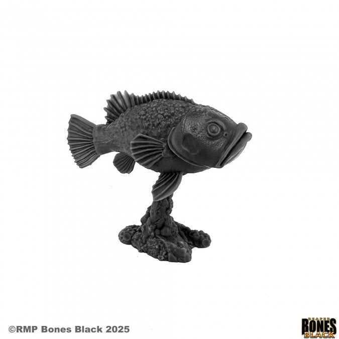 Dire Grouper