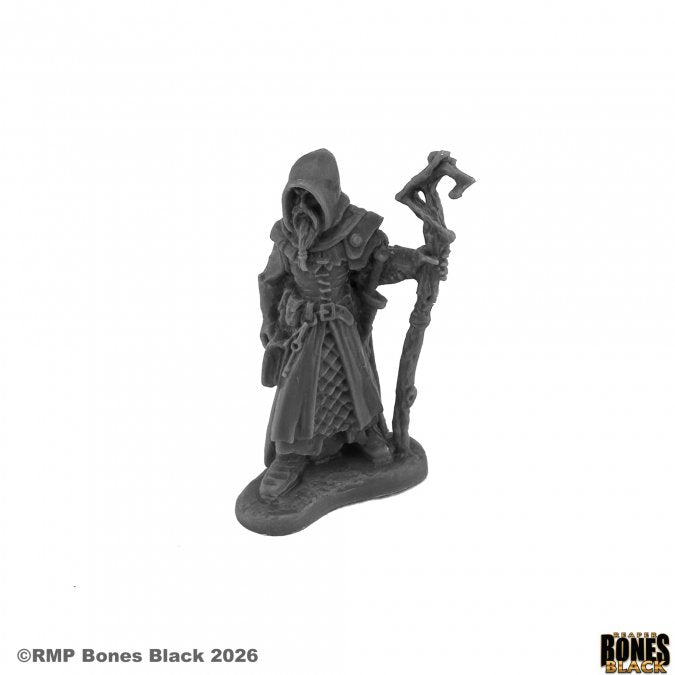 Vodelis, Human Wizard