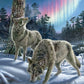 Northern Lights 500pc Puzzle