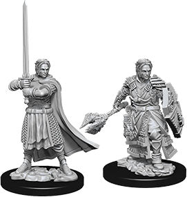 MALE HUMAN CLERIC Dungeons & Dragons: Nolzur's Marvelous Unpainted Miniatures