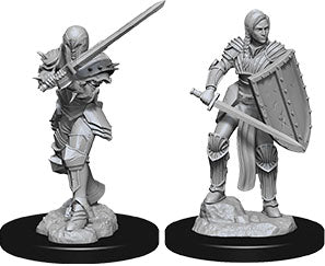 Female Human Fighter  Dungeons & Dragons: Nolzur's Marvelous Unpainted Miniatures