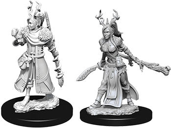 Female Human Druid   Dungeons & Dragons: Nolzur's Marvelous Unpainted Miniatures