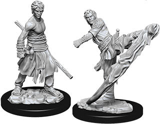 Male Half-Elf Monk Dungeons & Dragons: Nolzur's Marvelous Unpainted Miniatures