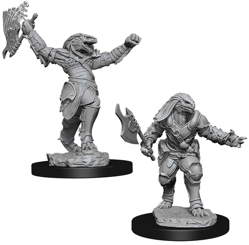 Female Dragonborn Fighter  Dungeons & Dragons: Nolzur's Marvelous Unpainted Miniatures