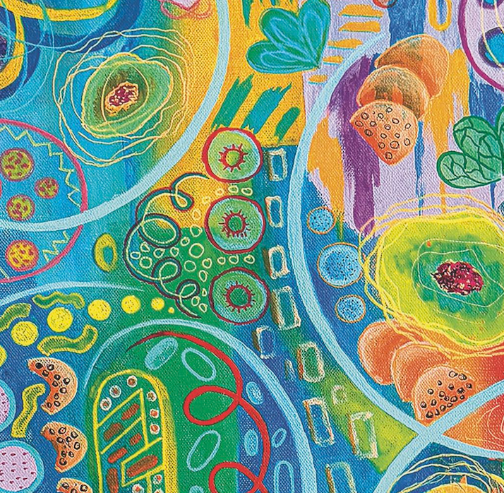 NEW! Nature Spirals; 1000-pc Velvet-Touch Jigsaw Puzzle