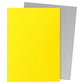 Sleeve Yellow & Silver (100) Dual Matte