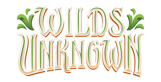 6/7/26 Sunday, Wilds Unknown Set Championship 1PM