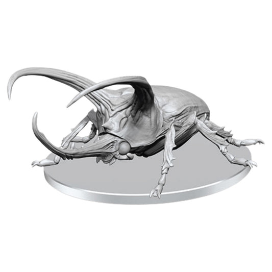 DCUM Giant Rhinoceros Beetle