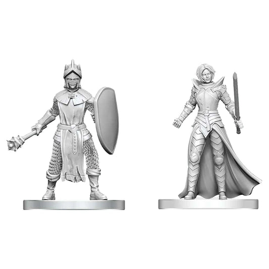 Black Gauntlet & Zhentilar Paladin of Bane Nolzur's
