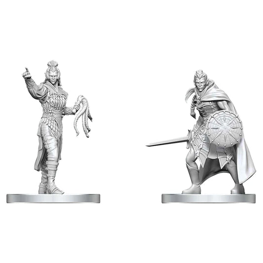 Drow Elite Warrior & Drow Priestess of Lolth Nolzur's