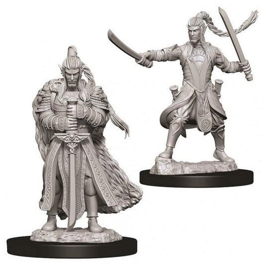 Male Elf Paladin Dungeons & Dragons Nolzur`s Marvelous Unpainted Miniatures