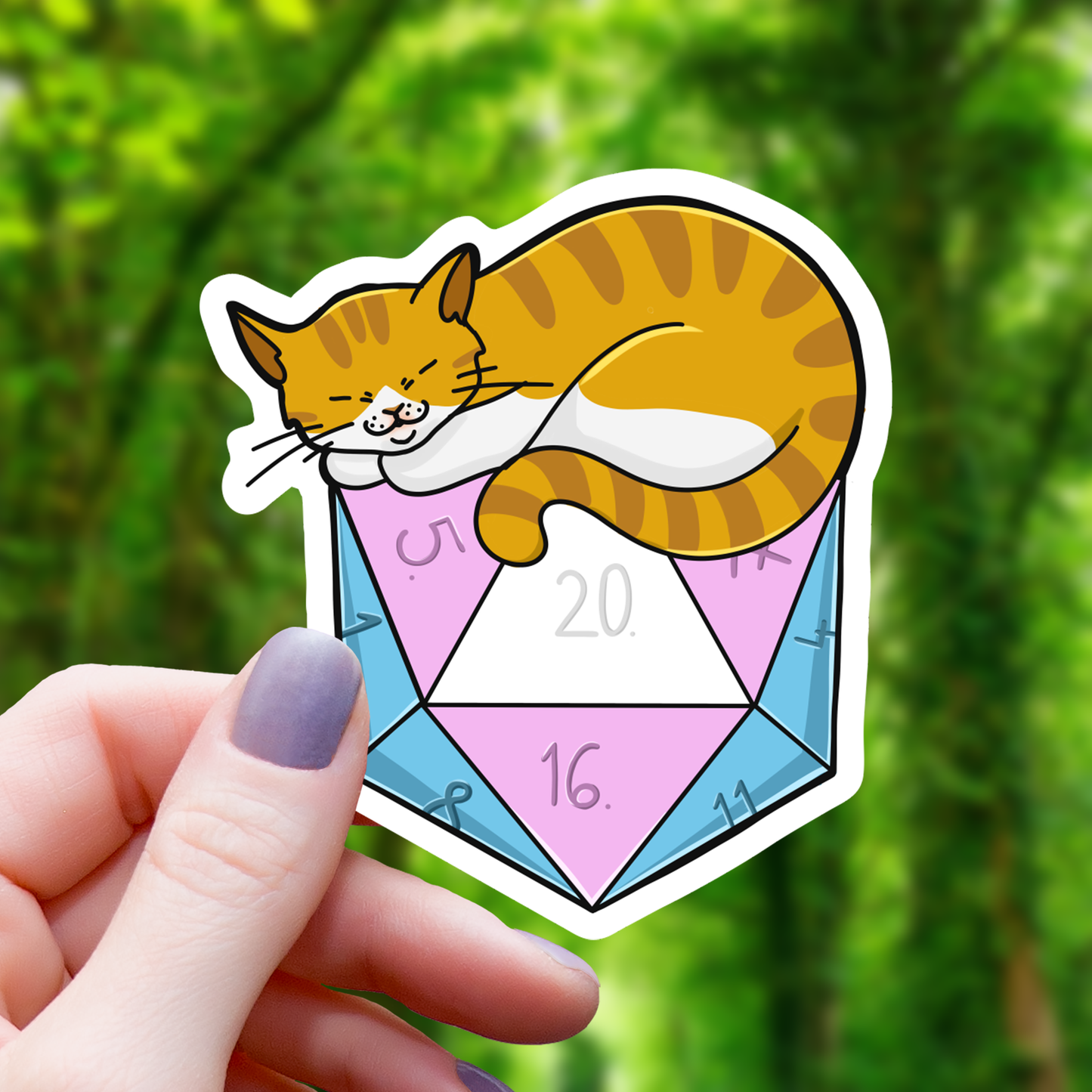 Cat on Trans Pride D20 Sticker - 3"