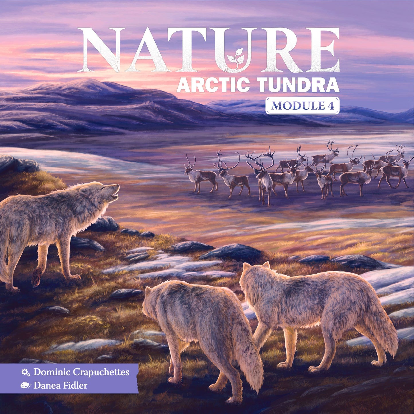 Nature:  Arctic Tundra Module 4
