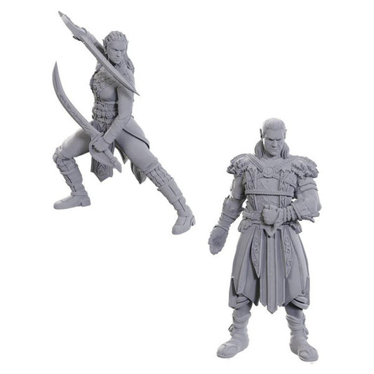 Jaheira & Halsin - Dungeons & Dragons: Nolzur's Marvelous Unpainted Miniatures - Special Edition Baldur's Gate 3