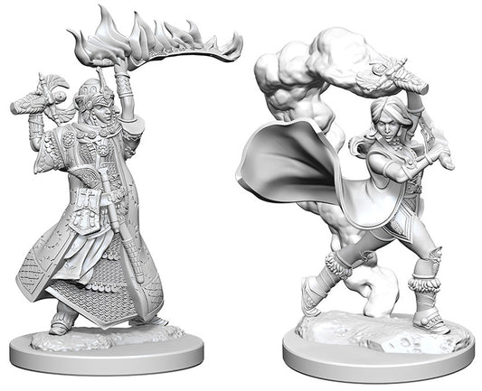 PDCUM: Human Female Cleric (WZK
