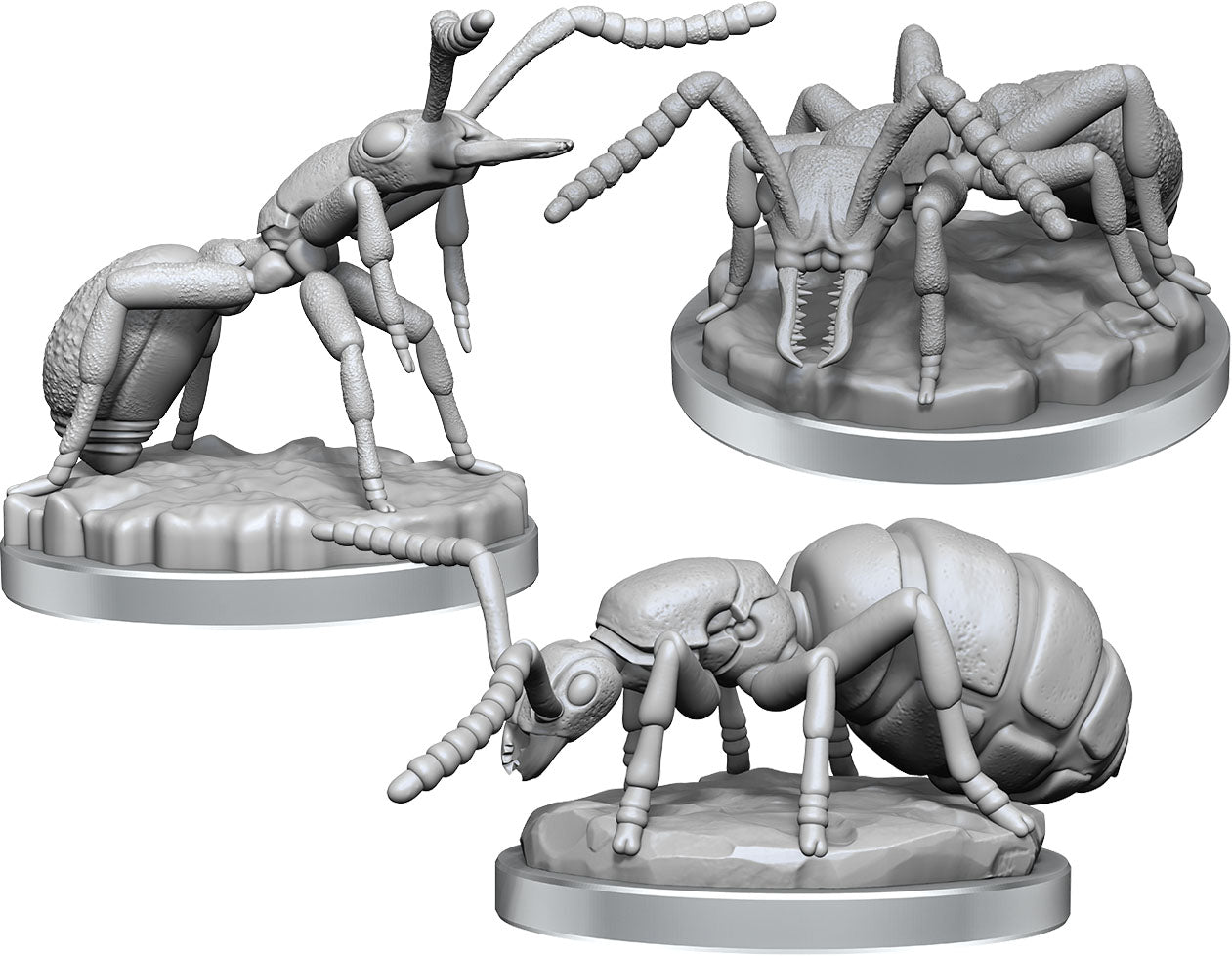 DC Giant Ants